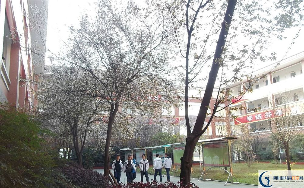 成都三十六中的分?jǐn)?shù)線大概是多少分？