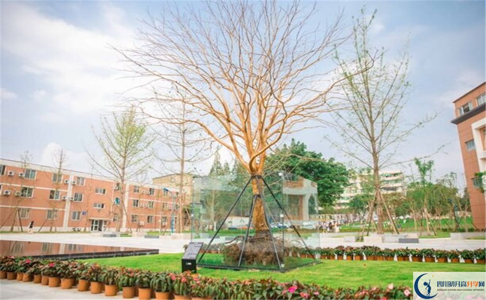 新格林藝術(shù)高級中學校2020年清華北大錄取學生有多少？