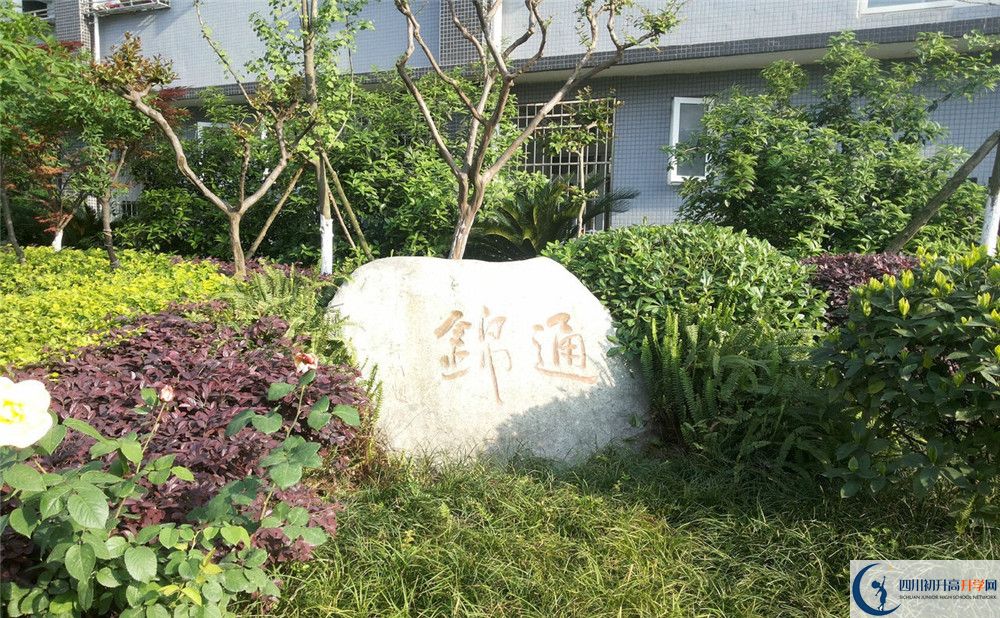 通錦中學高2020屆高三理綜階段檢測試題在哪看？