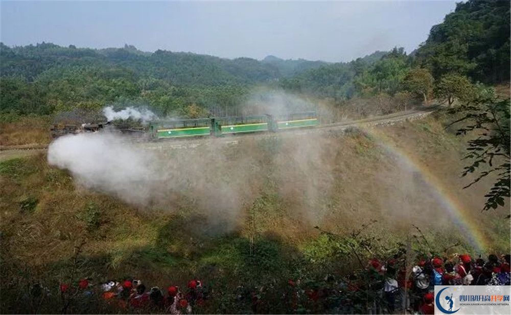 成都市泡桐樹中學(xué)國(guó)際班費(fèi)用是多少？