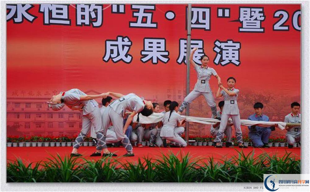 2020龍泉二中高考重點大學(xué)升學(xué)率是多少？