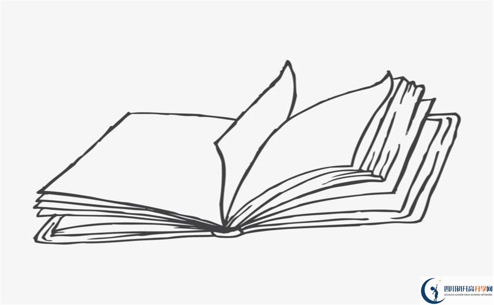 成都新世紀外國語學校2020年高考人數(shù)是多少？